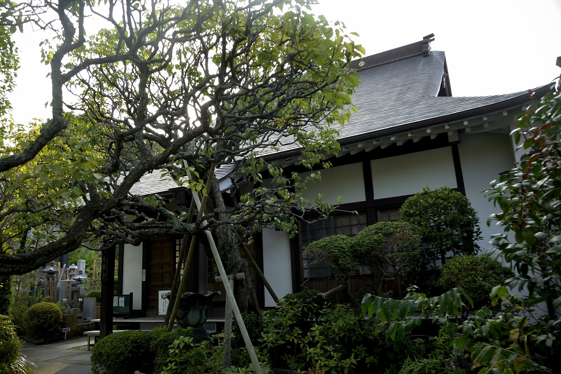 光照寺